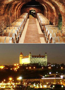 Winery Visit / Bratislava City Tour