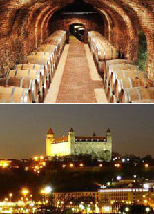 Winery Visit / Bratislava City Tour